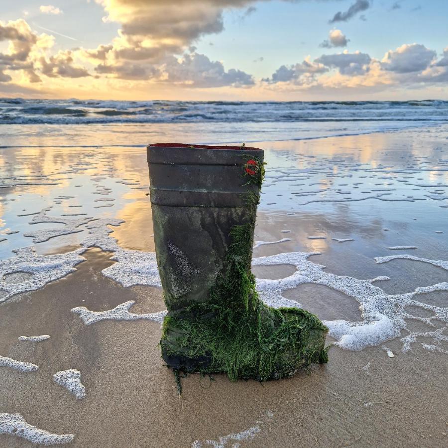 Nordseeperle Dirkshorn Nordholland, Mit Klimaanlage Und Sauna Eksteriør billede